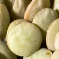 Şaban Yeşil Mercimek