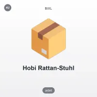 Hobi Rattan Koltuk